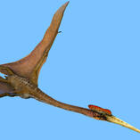 quetzalcoatlus