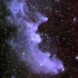ic 2118